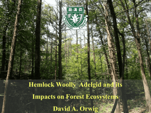 Hemlock Woolly Adelgid and its Impacts on Forest Ecosystems David A. Orwig