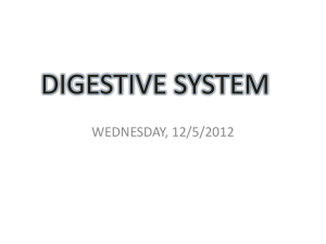 DIGESTIVE SYSTEM WEDNESDAY, 12/5/2012