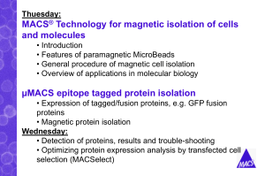 MACS Technology for magnetic isolation of cells and molecules