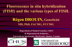 Régen DROUIN, Fluorescence in situ hybridization Geneticist