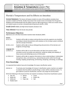 Amoebas &amp; Temperature Lesson Plan