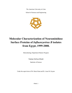 Molecular Characterization of Neuraminidase Influenzavirus B from Egypt, 1999-2008.