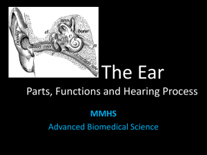 The Ear Parts, Functions and Hearing Process MMHS Advanced Biomedical Science
