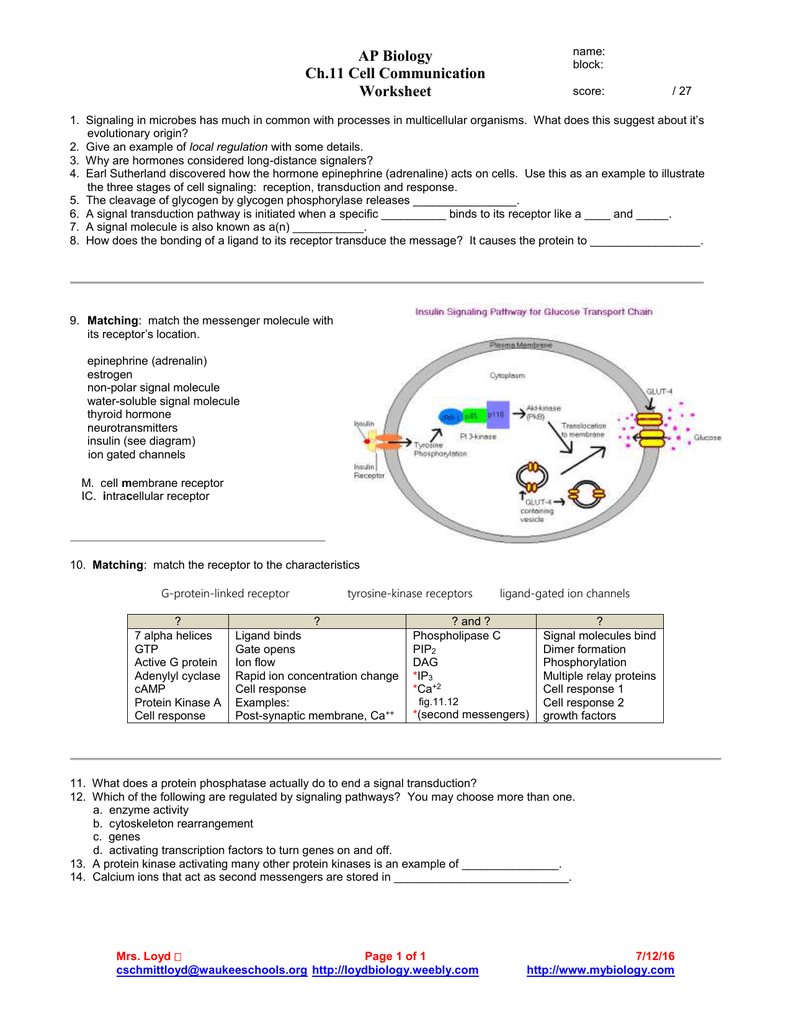 AP Biology Ch 11 Cell Communication Worksheet