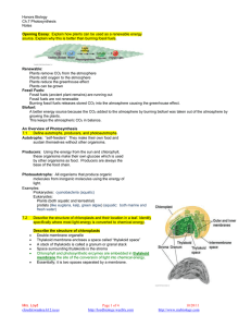 Honors Biology Ch.7 Photosynthesis Notes