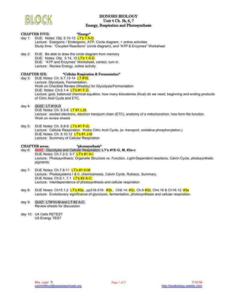 HONORS BIOLOGY Unit 4 Ch. 5b, 6, 7 Energy, Respiration and ...
