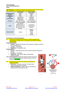 Honors Biology Ch. 6 Cellular Respiration Notes Opening Essay