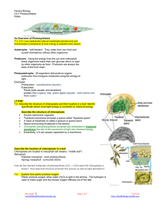 Honors Biology Ch.7 Photosynthesis Notes