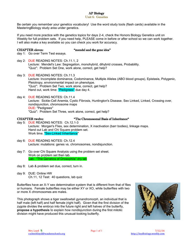 Ap biology essay rubrics 2009