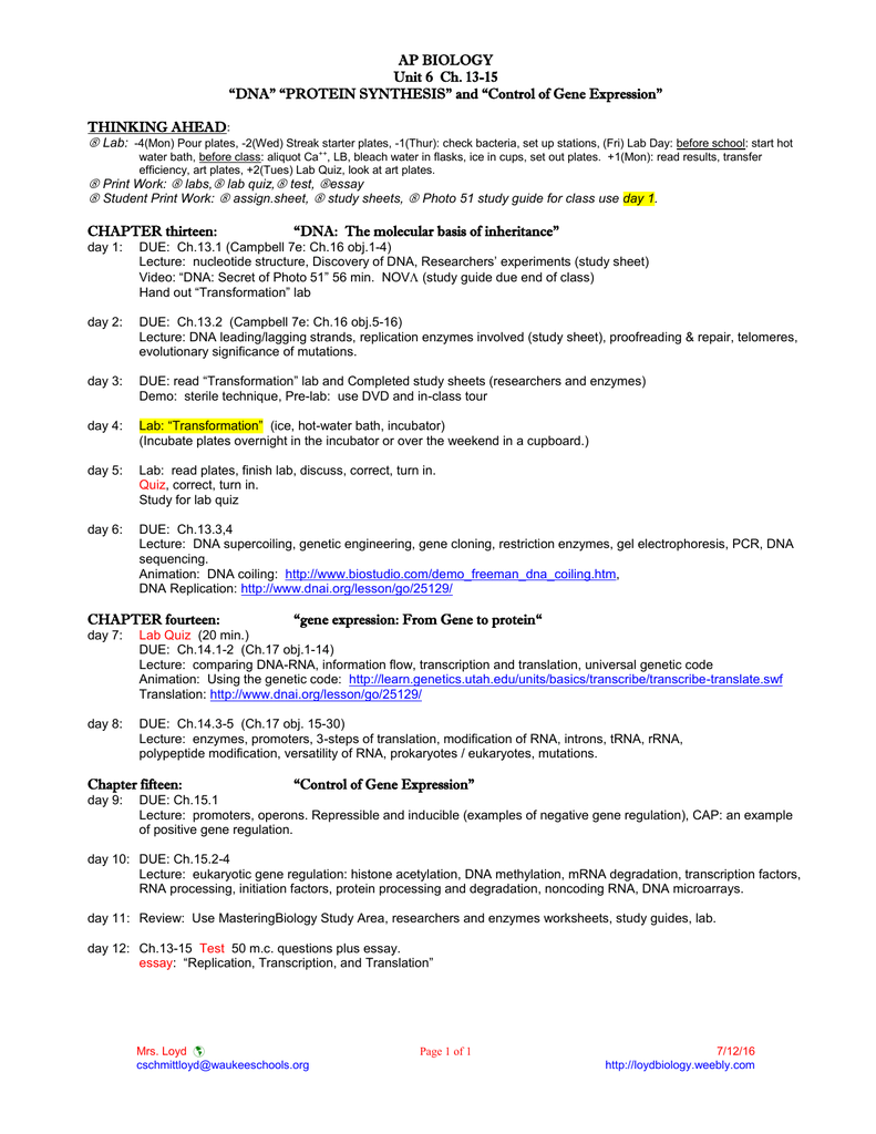 Chapter 16 The Molecular Basis Of Inheritance Study Guide Answers