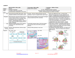 SUMMARY  REPLICATION:  DNA to DNA Transcription: DNA to RNA