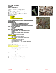 HONORS BIOLOGY Chapter 27 REPRODUCTION