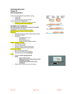 HONORS BIOLOGY Chapter 30 How Animals Move