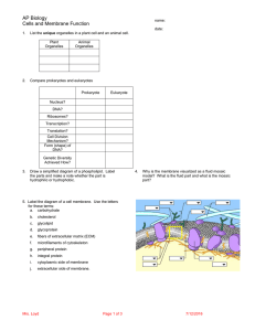 AP Biology Cells and Membrane Function