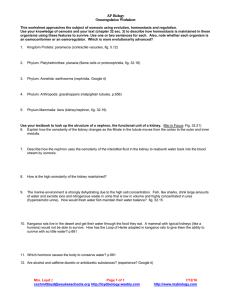 This worksheet approaches the subject of osmosis using evolution, homeostasis... Use your knowledge of osmosis and your text (chapter 32... AP Biology Osmoregulation Worksheet