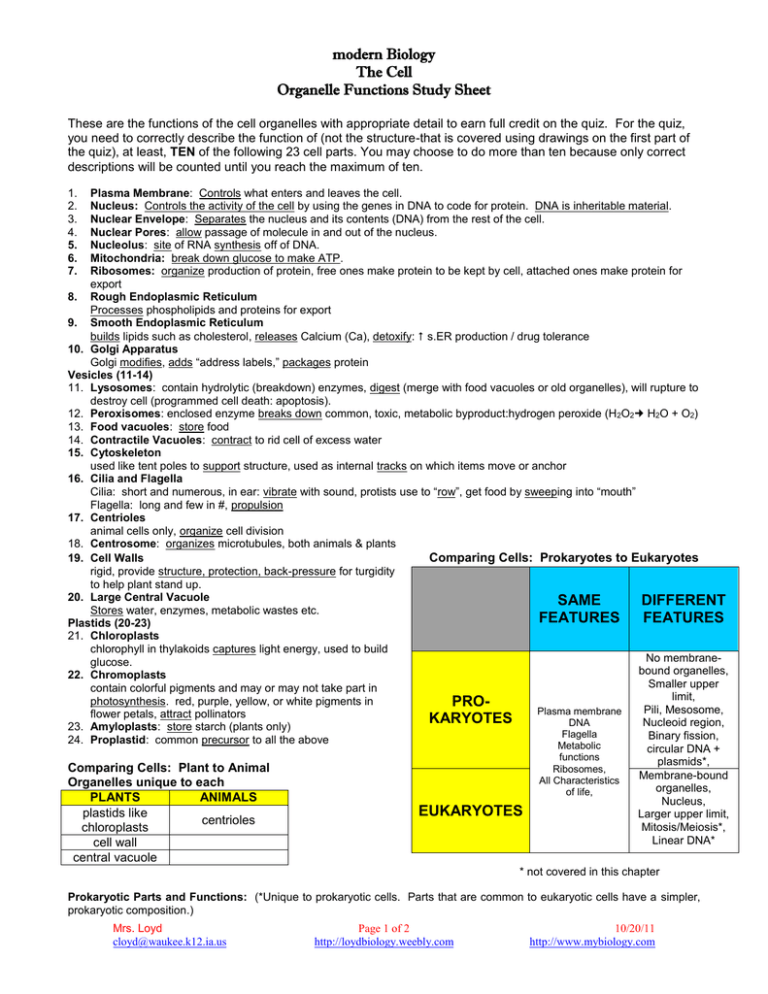 modern Biology The Cell Organelle Functions Study Sheet