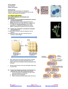 Modern Biology Ch. 8 NOTES Mitosis and Meiosis