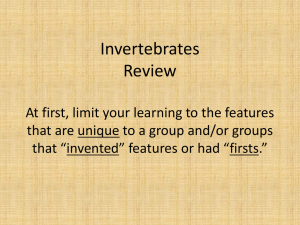 Invertebrates Review