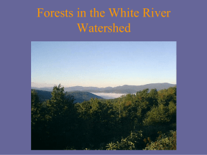 Forests in the White River Watershed