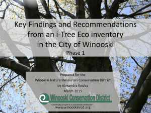 Key Findings and Recommendations from an i-Tree Eco inventory Phase 1