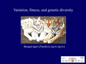 Variation, fitness, and genetic diversity Panthera tigris tigris