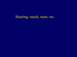 Hearing, touch, taste, etc.