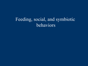 Feeding, social, and symbiotic behaviors
