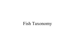 Fish Taxonomy