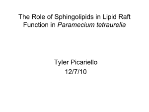 The Role of Sphingolipids in Lipid Raft Paramecium tetraurelia Tyler Picariello 12/7/10