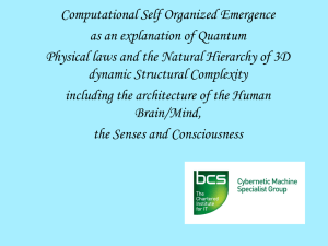 Computational Self Organized Emergence as an explanation of Quantum