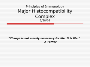 Major Histocompatibility Complex Principles of Immunology 2/28/06