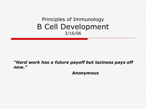 B Cell Development Principles of Immunology 3/16/06
