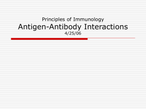 Antigen-Antibody Interactions Principles of Immunology 4/25/06