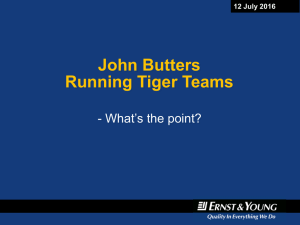 John Butters Running Tiger Teams What’s the point? -