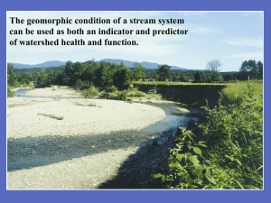 The geomorphic condition of a stream system