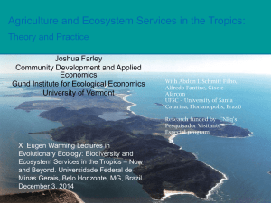 Agriculture and Ecosystem Services in the Tropics: Theory and Practice