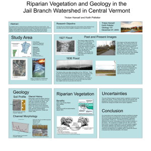 Riparian Vegetation and Geology in the
