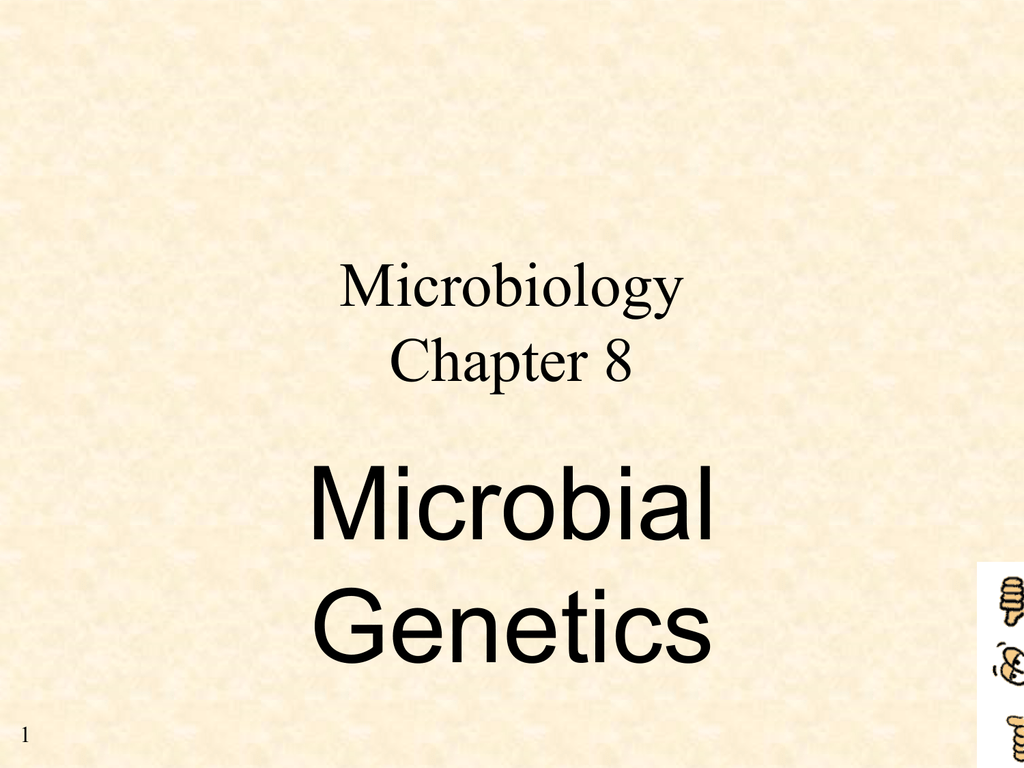 Microbial Genetics Microbiology Chapter 8