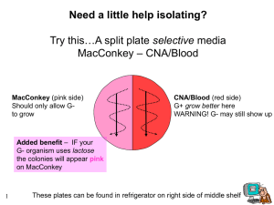 Need a little help isolating? selective – CNA/Blood MacConkey