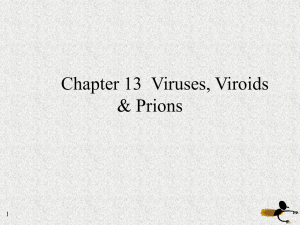 Chapter 13 Viruses, Viroids &amp; Prions 1