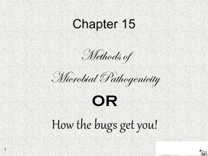 Methods of Microbial Pathogenicity How the bugs get you! OR