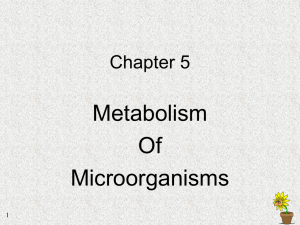 Metabolism Of Microorganisms Chapter 5