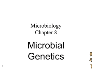 Microbial Genetics Microbiology Chapter 8