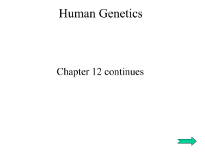 Human Genetics Chapter 12 continues