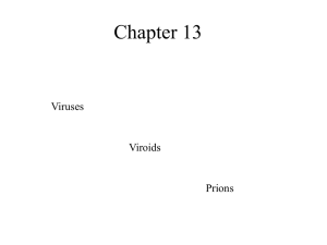 Chapter 13 Viruses Viroids Prions