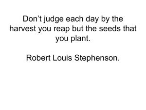 Don’t judge each day by the you plant. Robert Louis Stephenson.
