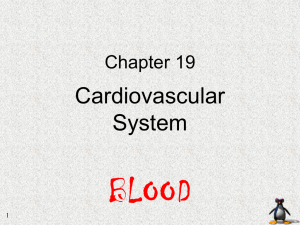 BLOOD Cardiovascular System Chapter 19