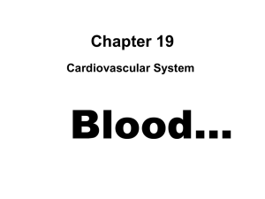 Blood… Chapter 19 Cardiovascular System