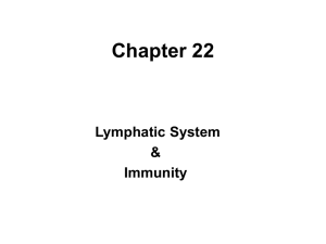 Chapter 22 Lymphatic System &amp; Immunity