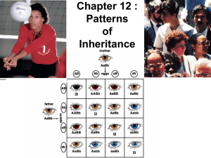 Chapter 12 : Patterns of Inheritance